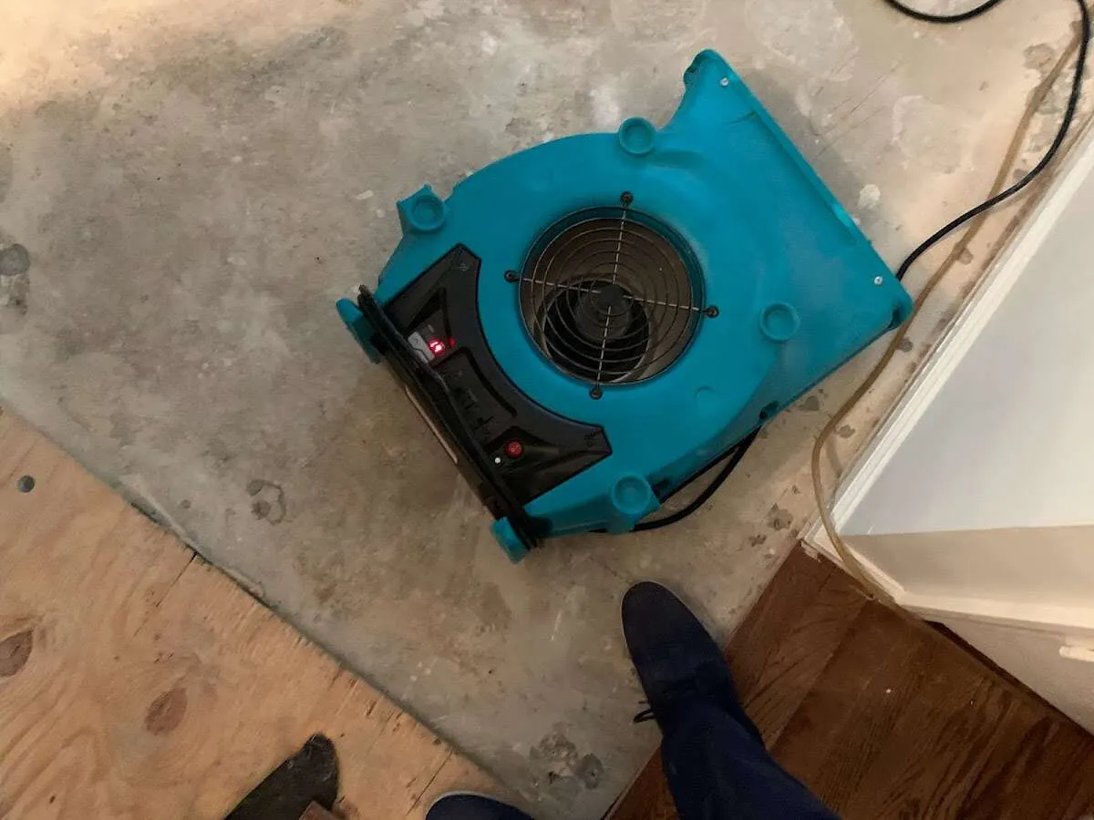 Air mover drying subfloor during Leak Detection & Repair in Auburn
